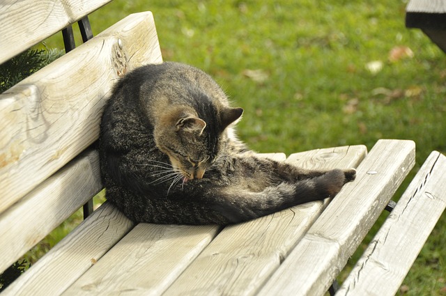 献了一场酣