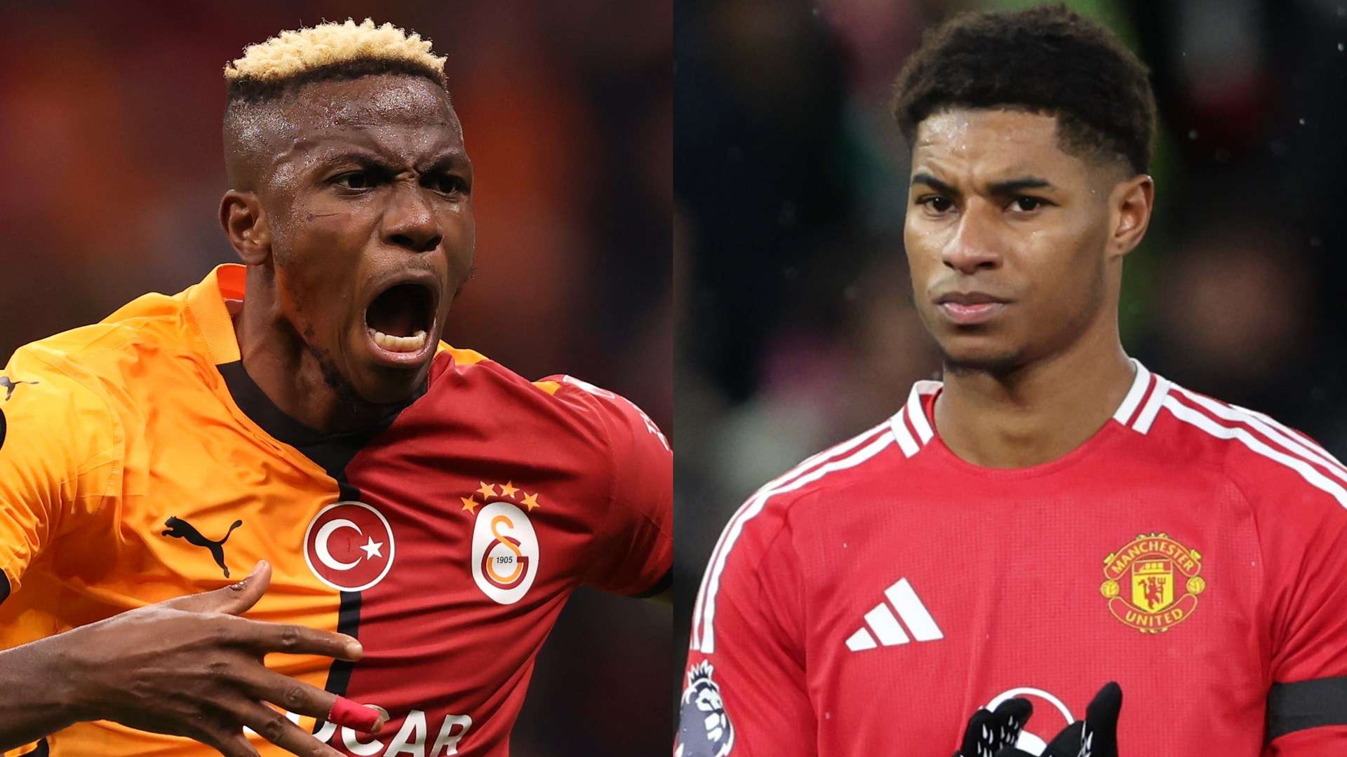 地亚的防线 地亚的防线