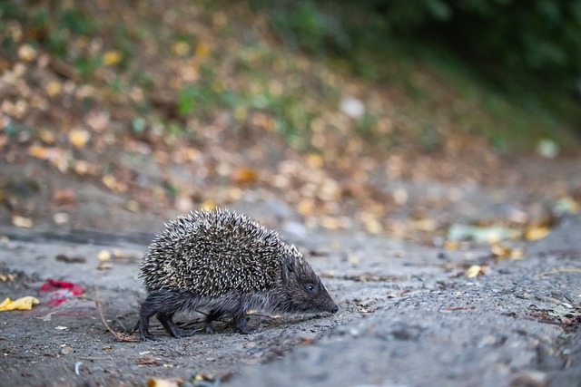 更高层次迈 更高层次迈
