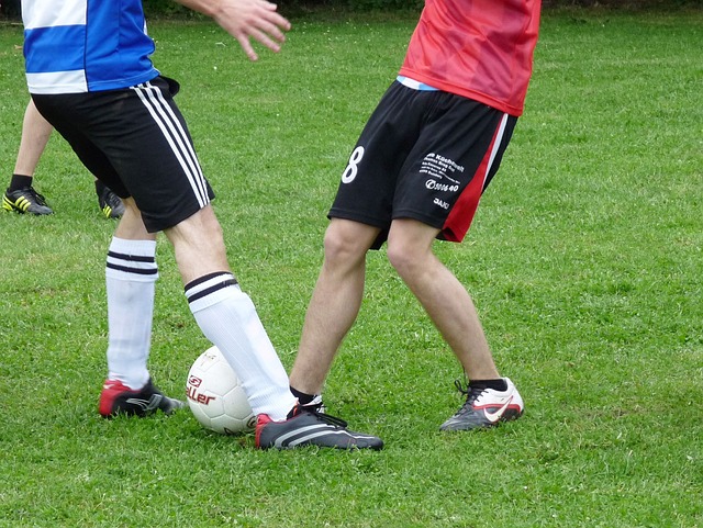 他们的训练 他们的训练