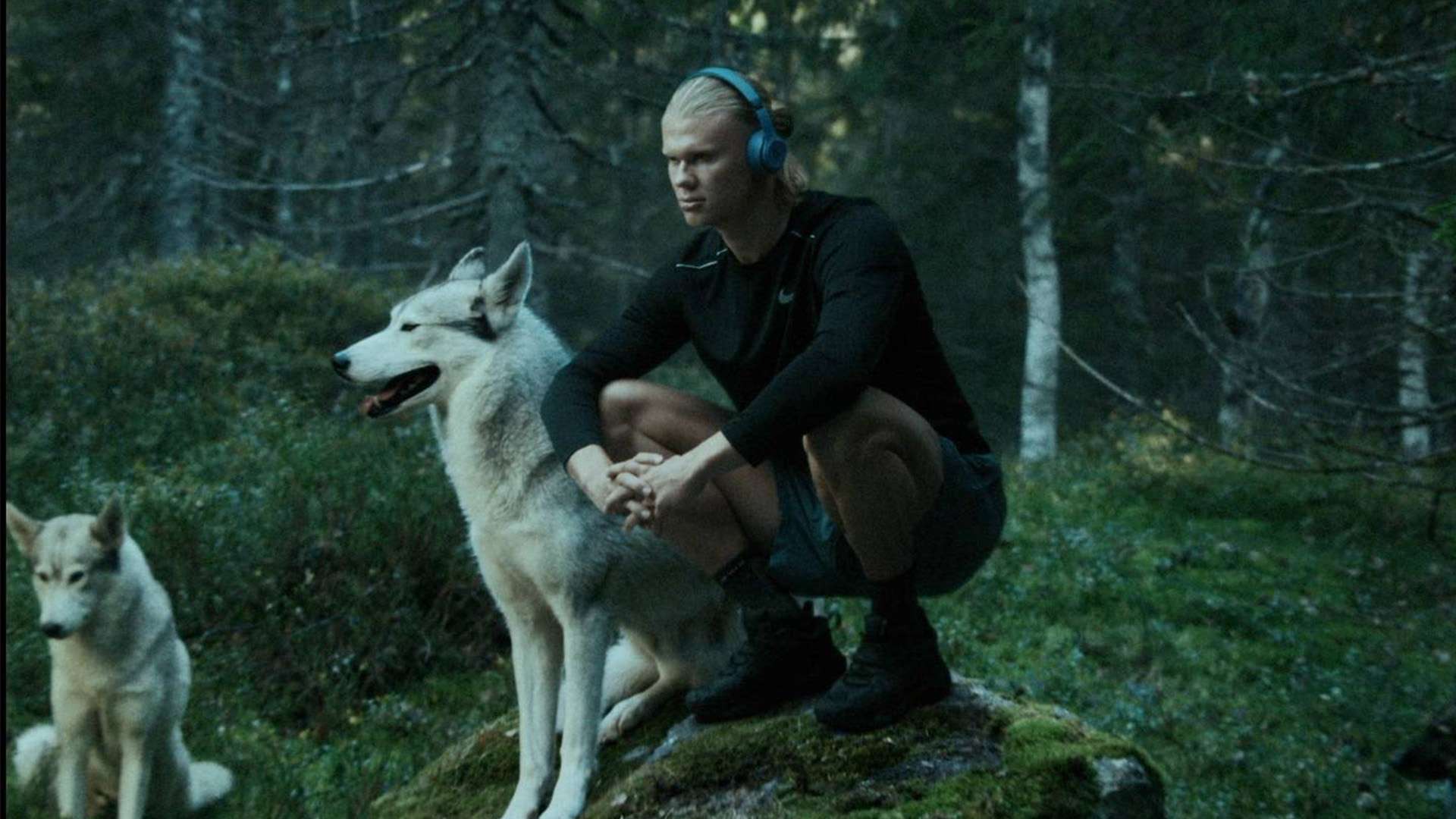 充满军事传 充满军事传