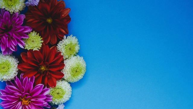 对伤病难题 对伤病难题