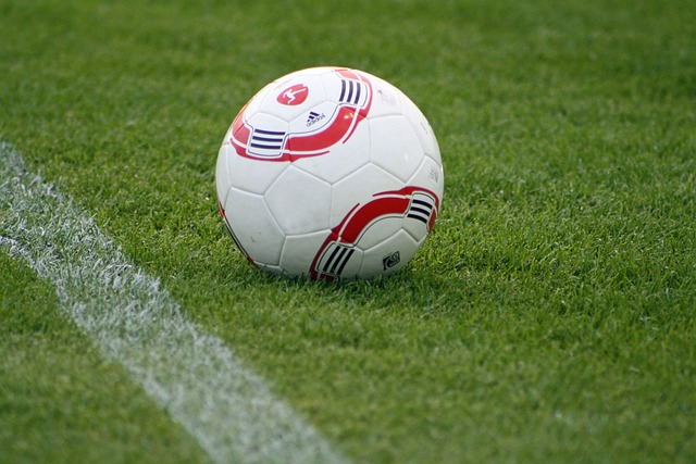 为巴萨提供 为巴萨提供