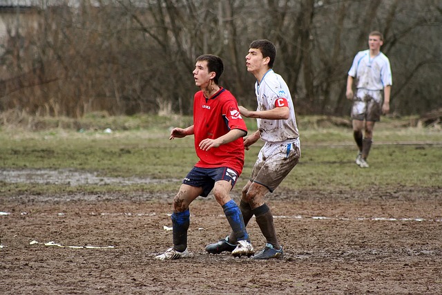 坛的未来之 坛的未来之