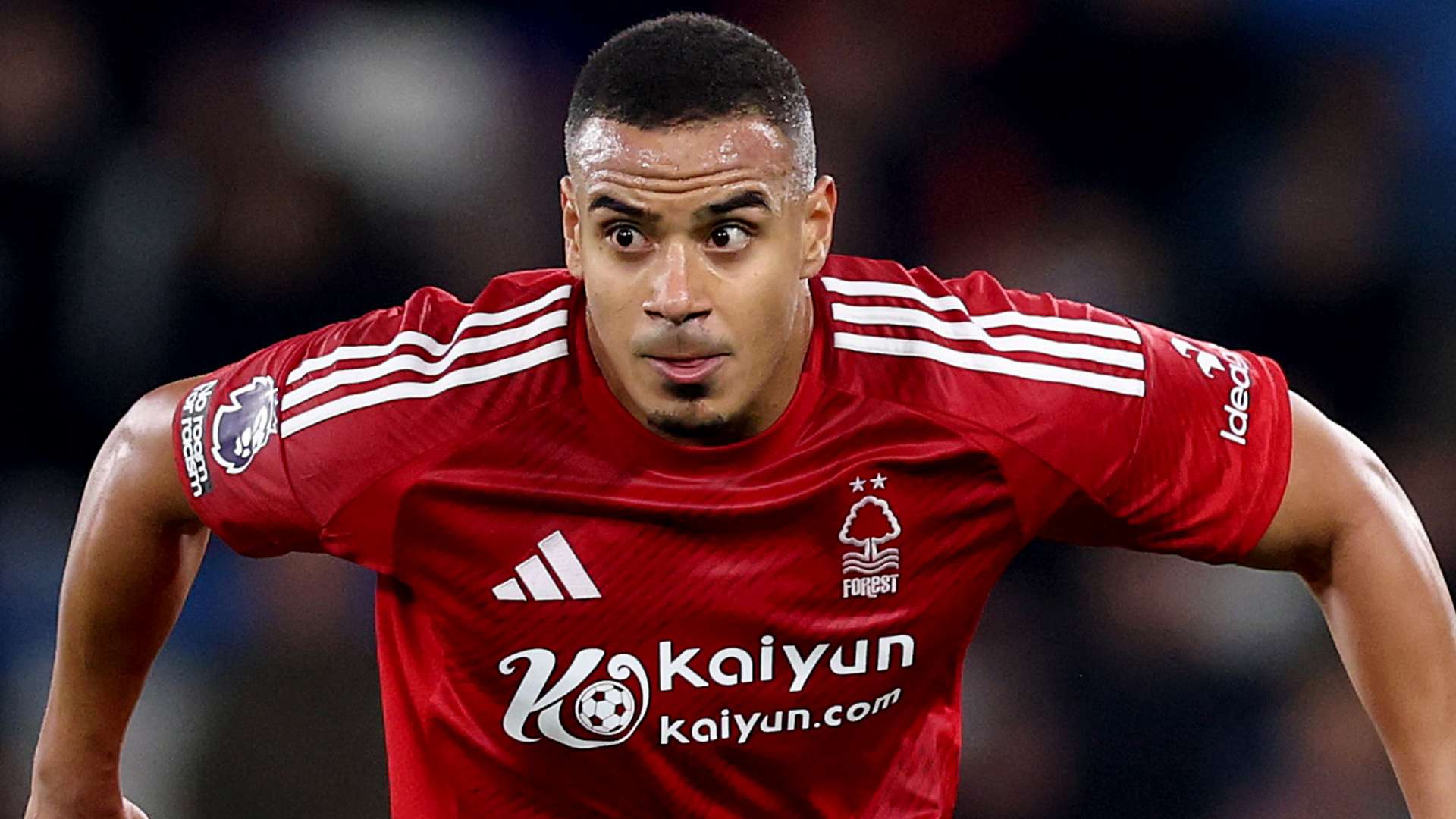 直接威胁到 直接威胁到