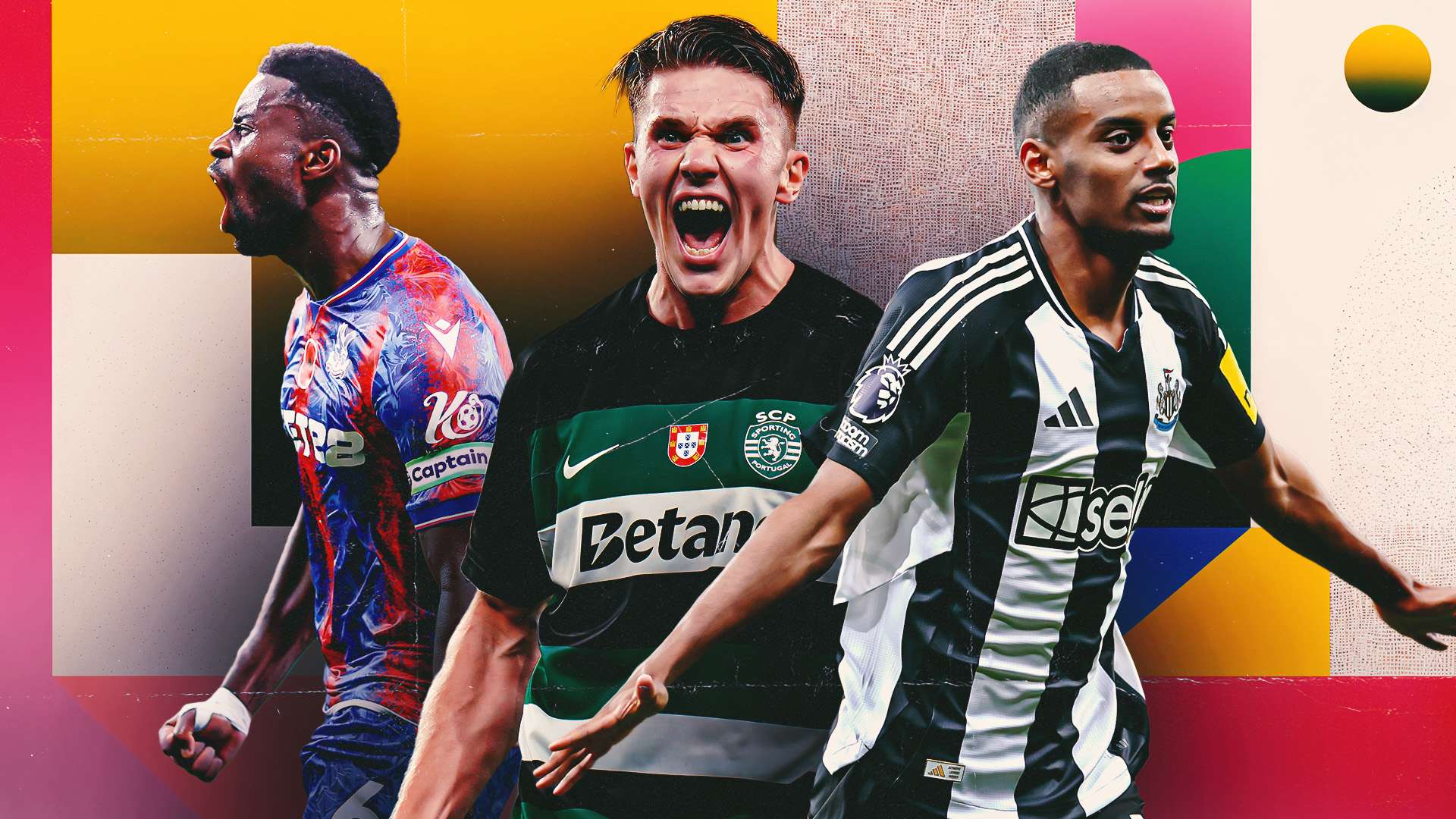 体与球迷的 体与球迷的